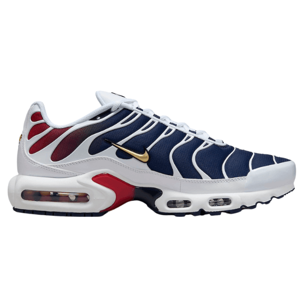 Nike Air Max TN Plus - PSG